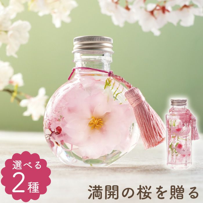 桜 ハーバリウム・Sサイズ』｜ギフトショップ「FLEGRE（フレグレ）」