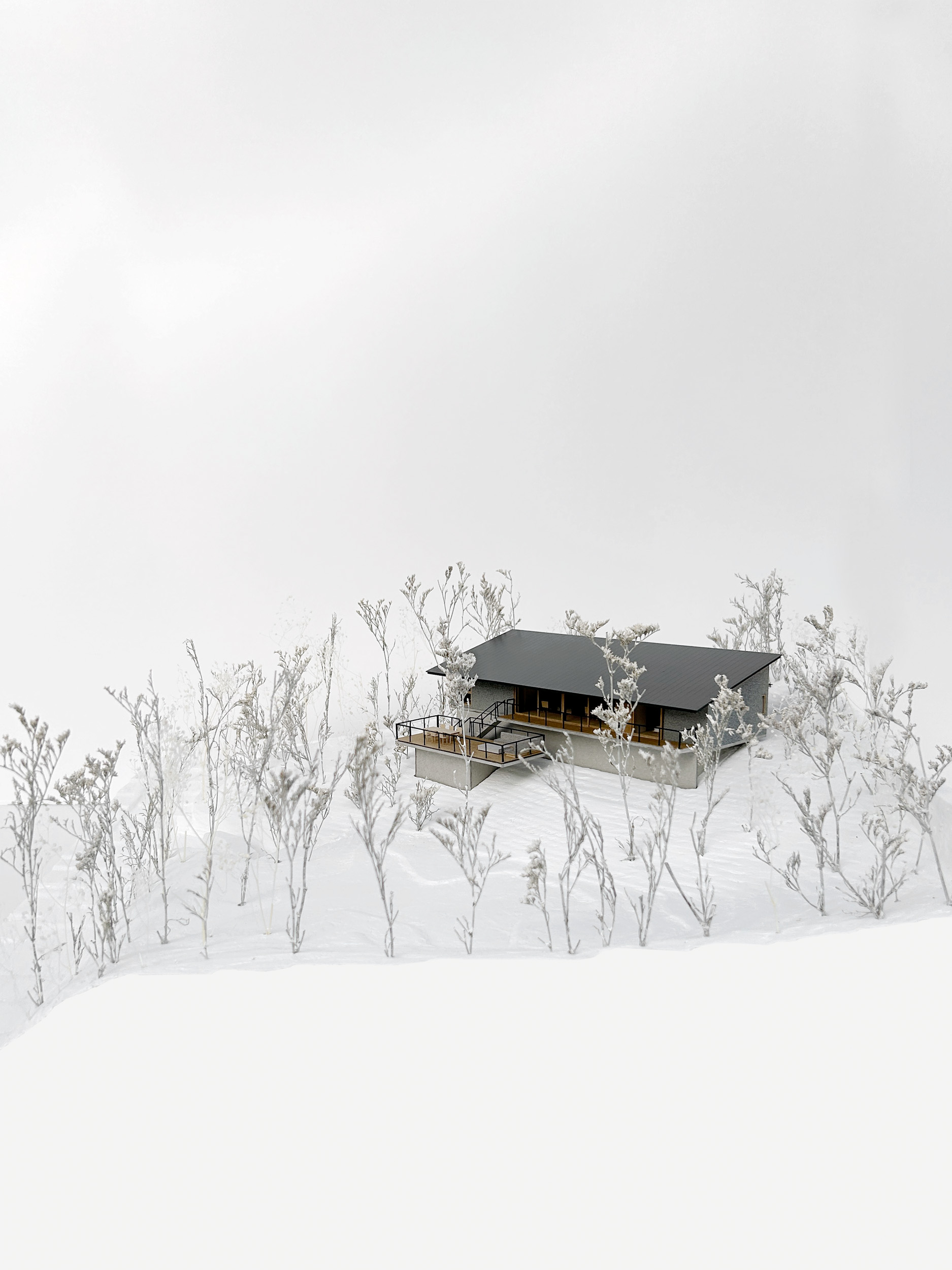 House in Karuizawa ｜ 平山健太 建築設計事務所