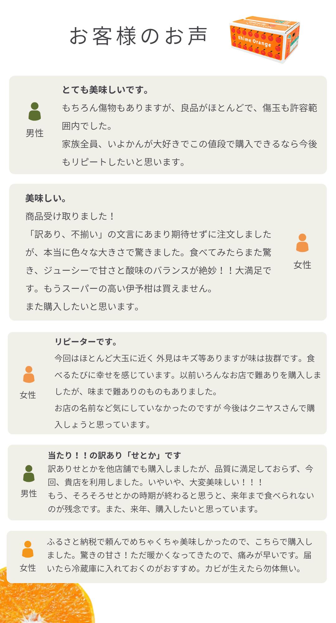 見た目傷あり・大きさ不ぞろいでお値打ち価格の愛媛西宇和産せとか【訳