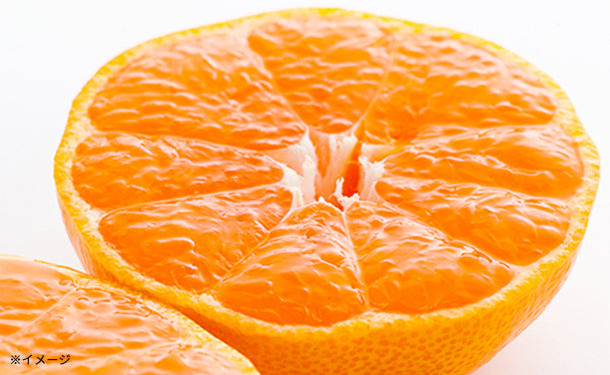 main01_2_07942a87-d2af-4efb-