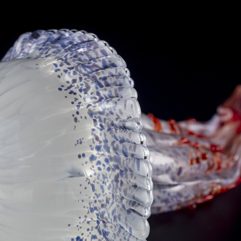 Pino Signoretto クラゲ | 全ての商品 | 黒壁公式オンラインショップ