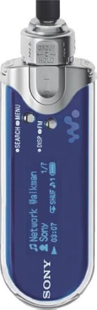 Amazon.co.jp: SONY ネットワークウォークマン [NW-E407 L] : 家電＆カメラ