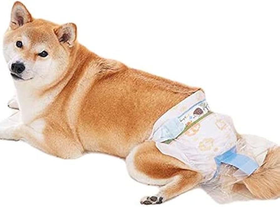 Amazon.co.jp: うんぽパンツ LL・28枚 犬 オムツ うんちポケット付き