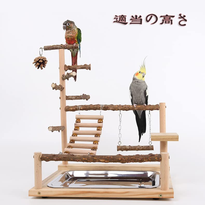 Amazon | 鳥アスレチック バードアスレチック インコ 遊び場 止まり木