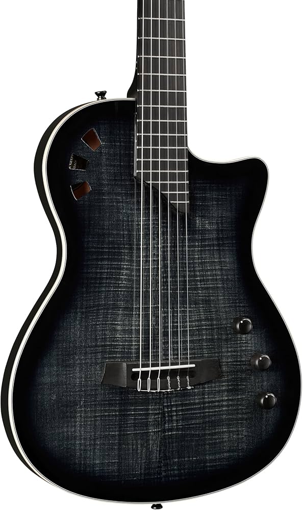 Amazon.com: Cordoba Stage Thinbody Nylon A/E Black Burst : Musical