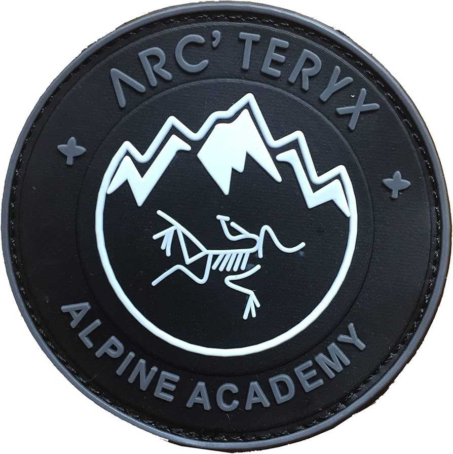 Amazon.co.jp: Arc'teryx alpine academy ワッペン パッチ