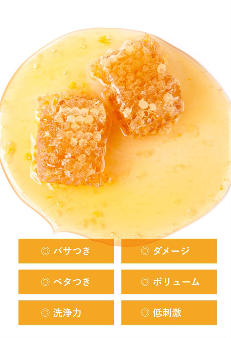 生はちみつの酵素で洗う新発想のヘアケア REMEDY（レメディ）