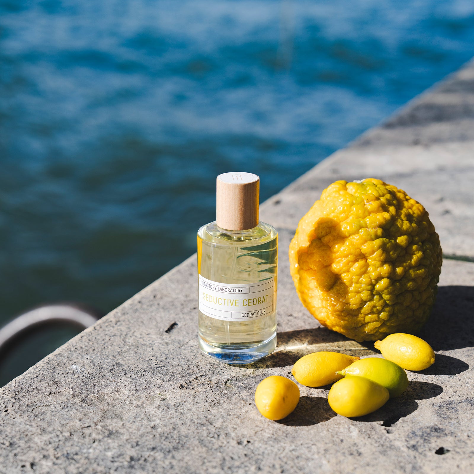 20250223ARTEAU-153_1600x.jpg?v