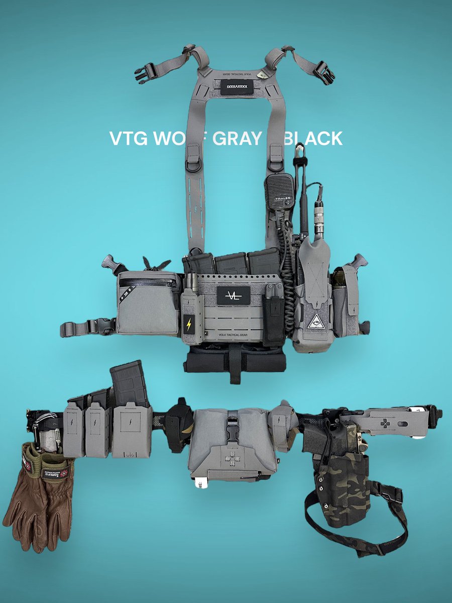 着たらこんな感じ⚡️ ウルフグレー単色も勿論いいですが、BKミックス