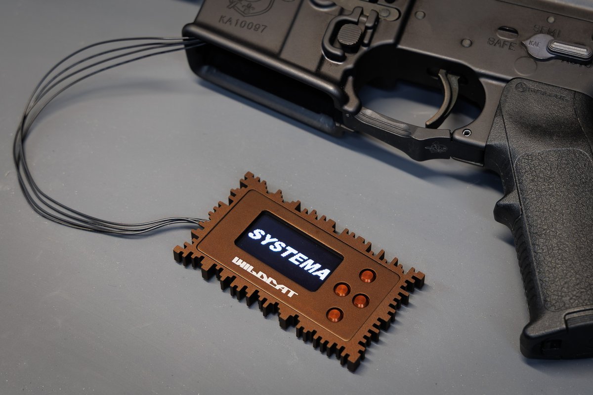 SYSTEMA】 INFINTY & MONSTER 共用 プログラムカード “Wildcat” 特典