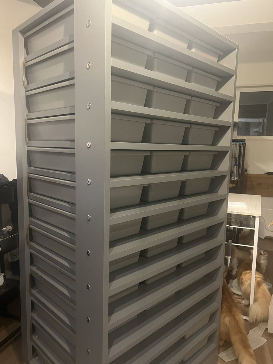 06snakeracks (@06snakeracks) / Posts / X