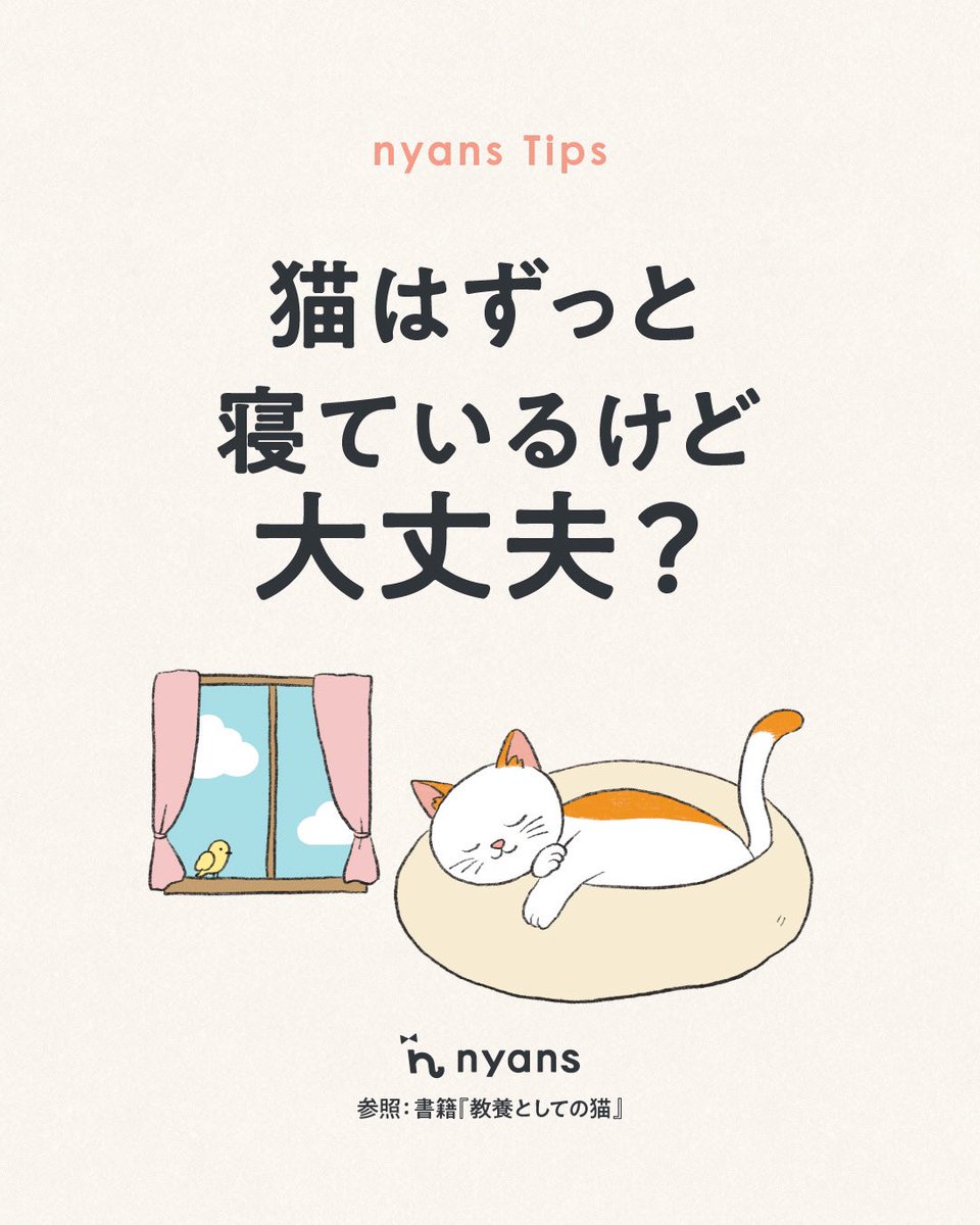猫はずっと寝ているけど 大丈夫🐈🐈‍⬛？？ ＼ 何をしても可愛くて