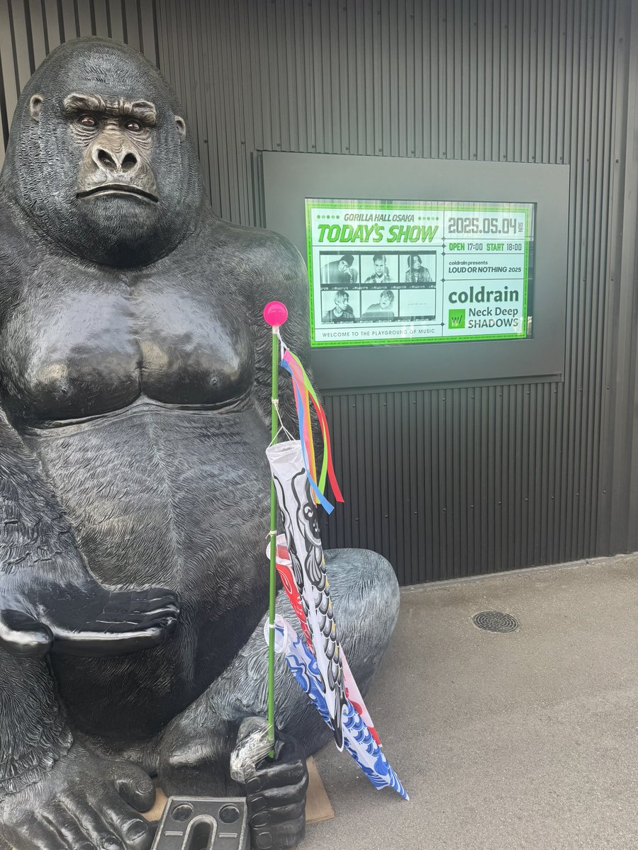 今日からゴリラホール のGWラストスパート！来られる方、めちゃくちゃ