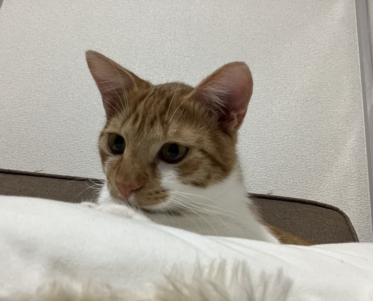 いいですか？大事なこと言いますね？ 「今日で2月が終わり、明日から3