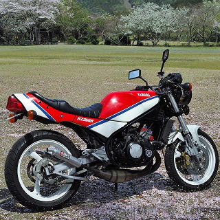 2ストギャラリーP66