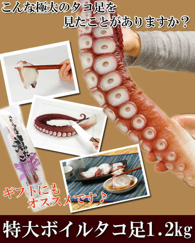 特大ボイルタコ足1.2kg前後＜ボイル冷凍＞の通販｜最北の海鮮市場