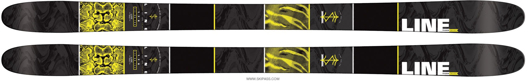 Line - Tigersnake 2016