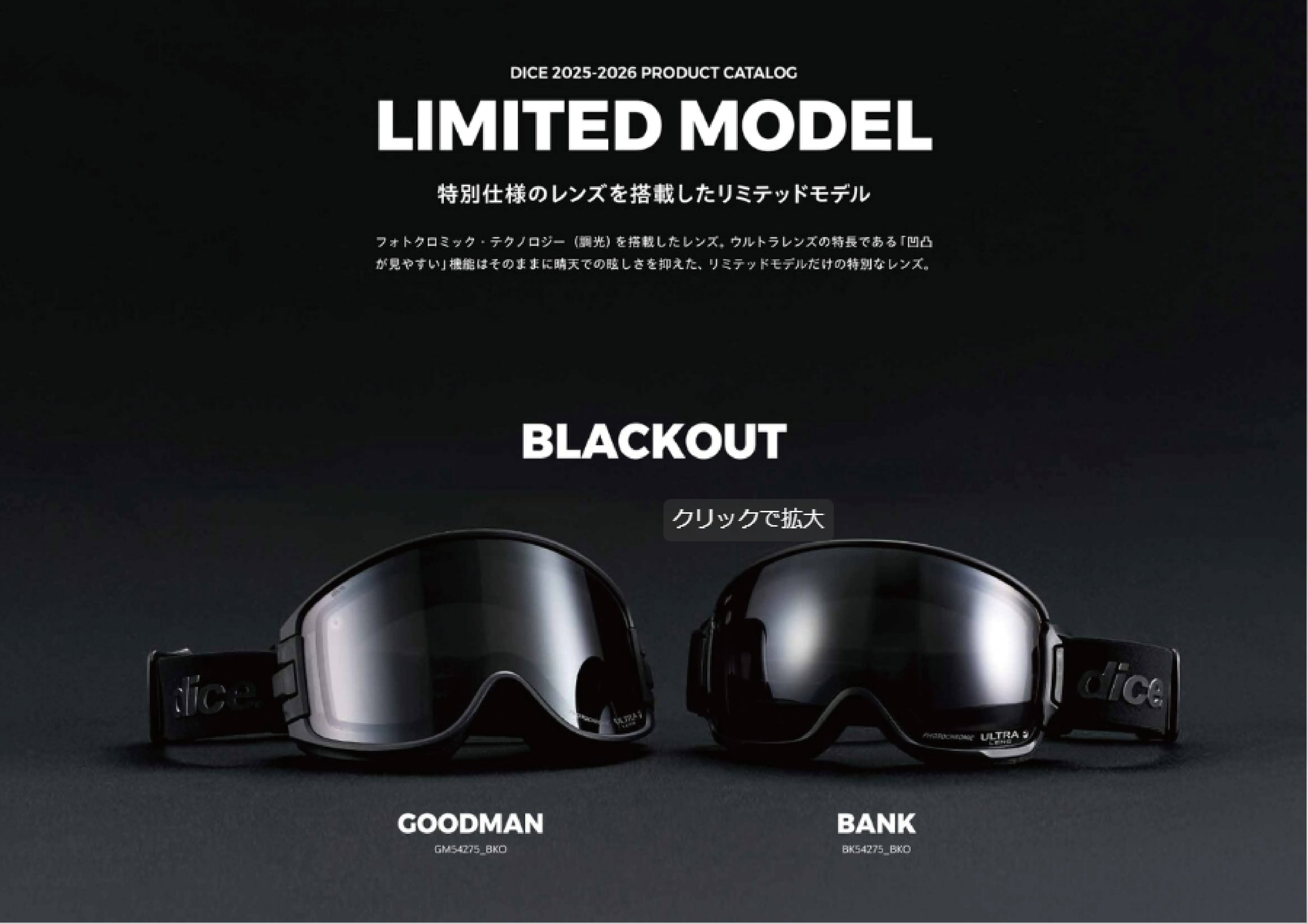 スノーボード ゴーグル ダイス DICE GOODMAN（数量限定） WHO 25-26