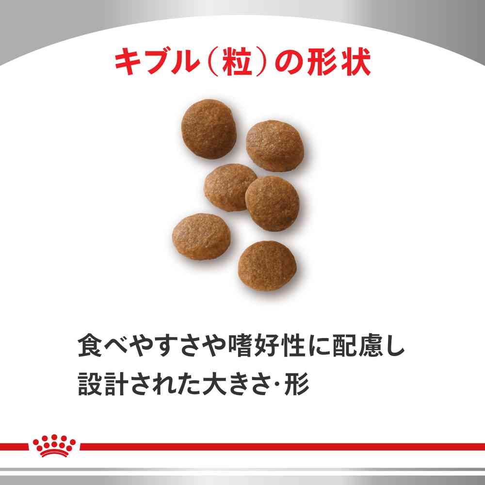 猫用 ユリナリーS/Oオルファクトリーライト 2kgx1