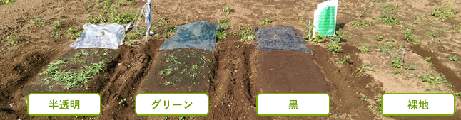 生分解性マルチ「サンバイオシリーズ」 | サンプラック工業株式会社