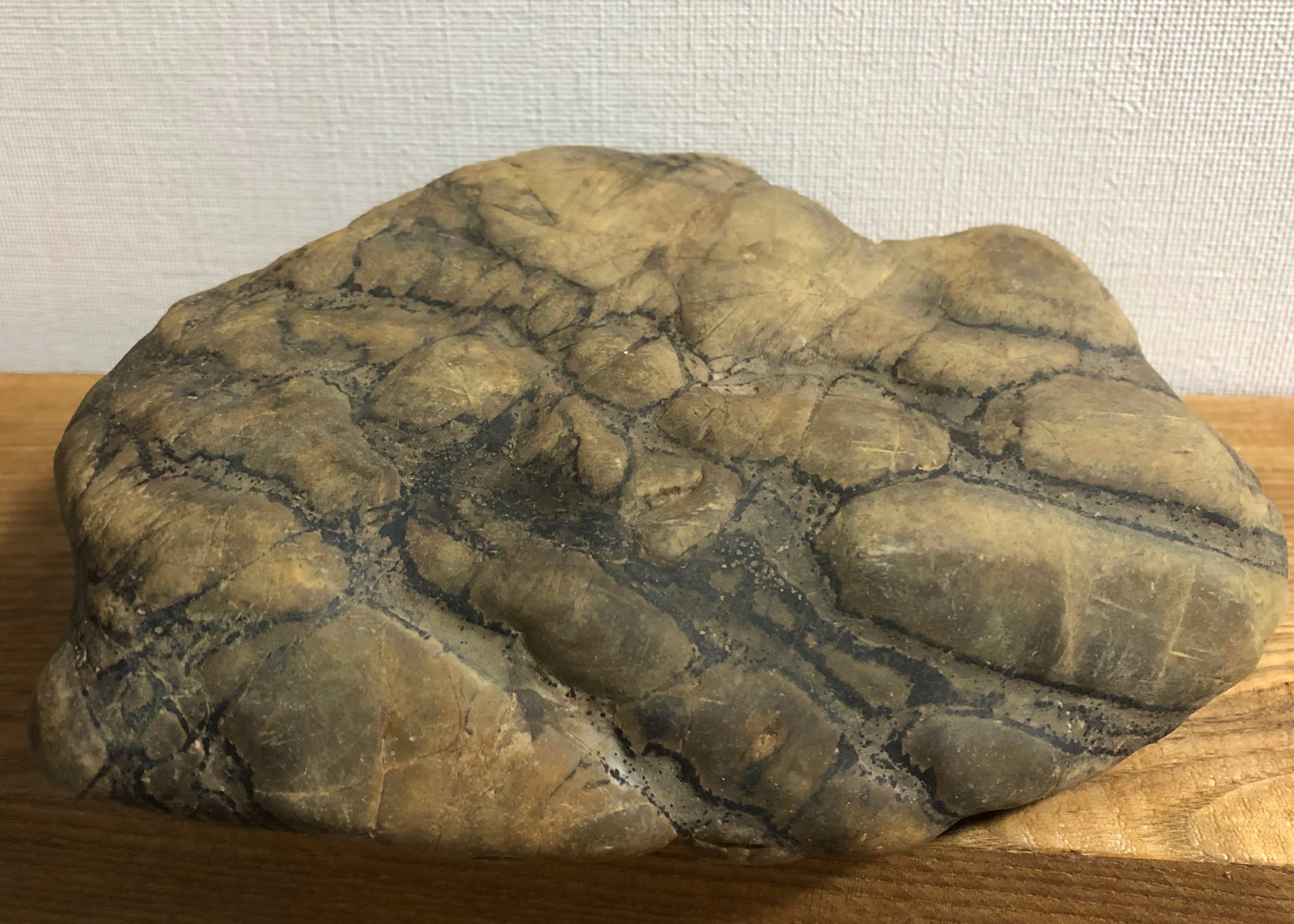 瀬田川虎石-I, Setagawa Tora Ishi