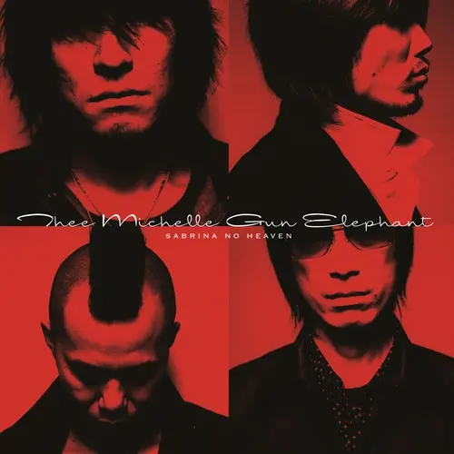 ミッシェルガンエレファント 伝説の幕張メッセでの解散ライブがBOX