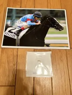 グランアレグリア】メイクデビュー 2018 ルメール騎手直筆サイン入り