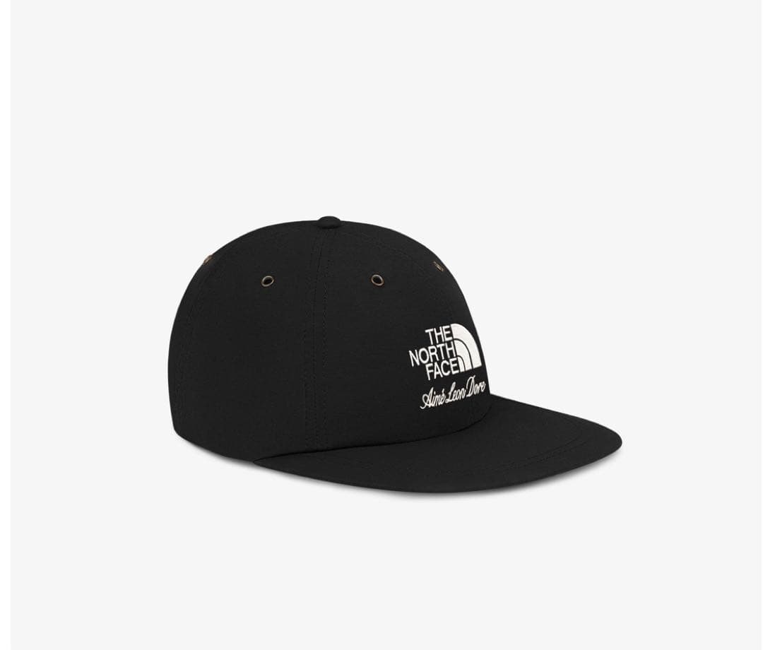THE NORTH FACE Nylon Logo Hat ブラック tnf839c401.jpg