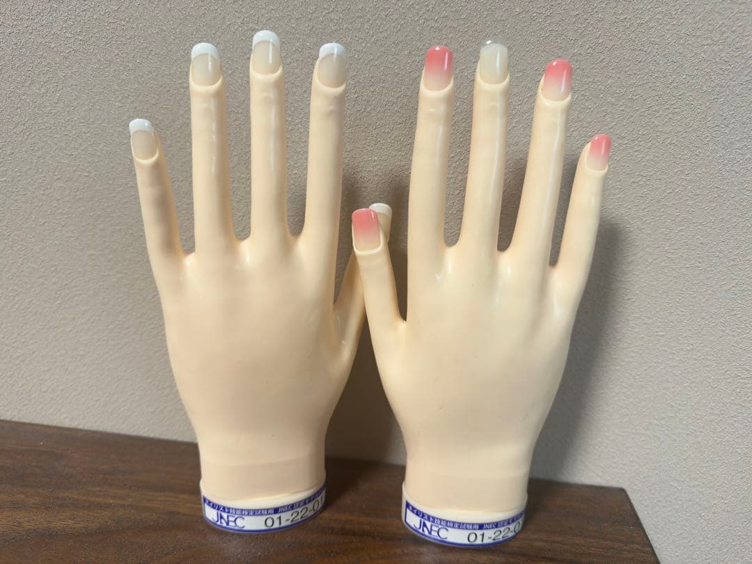 JNEC認定モデルハンド STモデルハンド 取り寄せ】STモデルハンド セット（JNEC認定モデルハンド