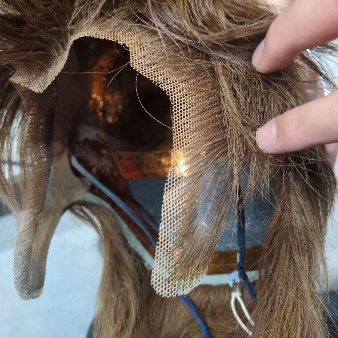 値引き！鬘 桂 散切り 大衆演劇‼️ - メルカリ