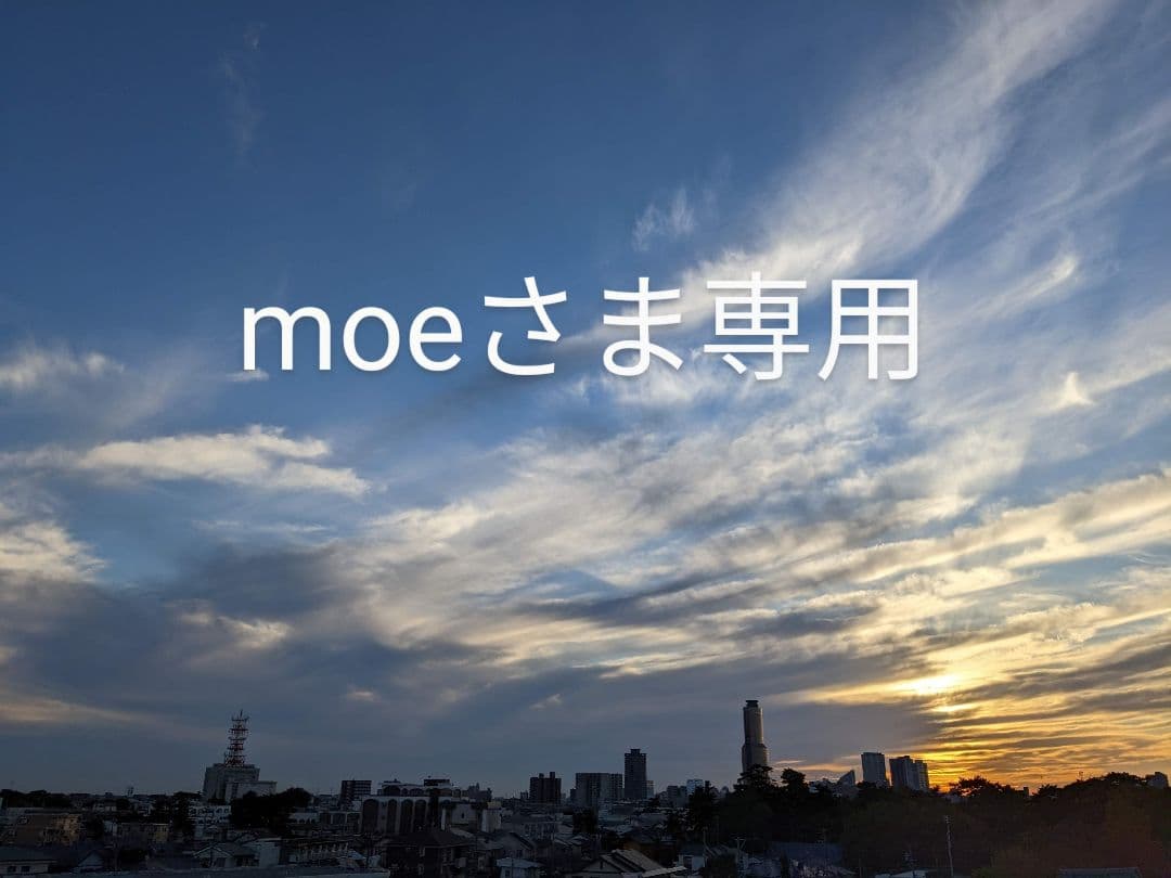 moeさま専用 ACT MODE拡張キット Type15 Ver2 Equipment｜グッドスマイルカンパニー