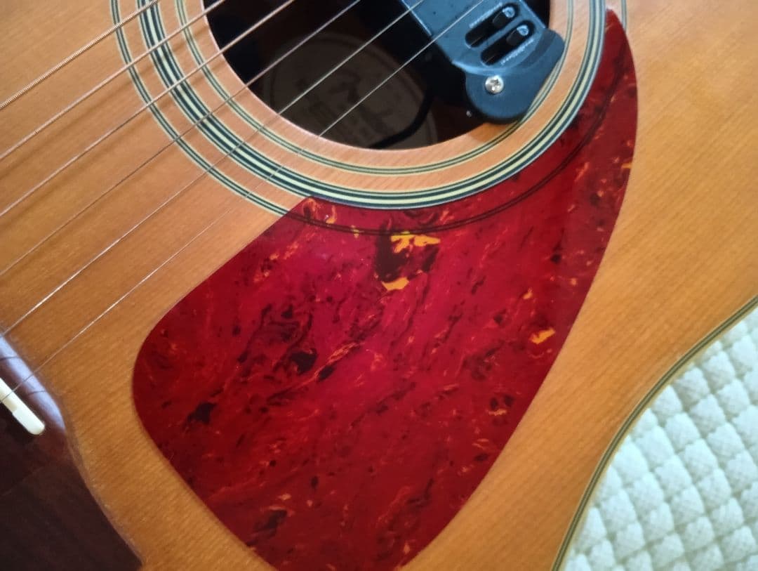 Fender DG-16NATアコースティックギターハードケース、ピックアップ付