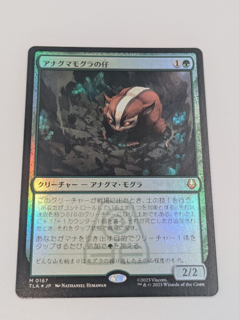 MTG　アナグマモグラの仔　foil カード詳細：アナグマモグラの仔