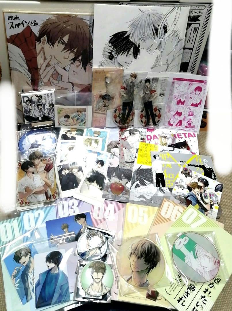 抱かれたい男一位に脅されています　だかいち　小冊子　ブックレット　リーフレット Amazon.co.jp: 抱かれたい男1位に脅されています。 (ビーボーイ